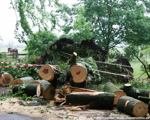  Internetwetter | Dieser Baum blockierte die Strae und...