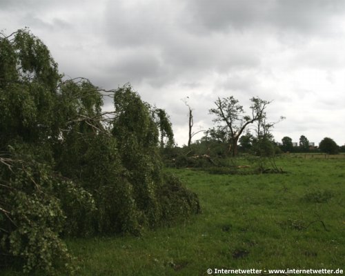  Internetwetter | Tornado am 09.06.2009 in Neumünster