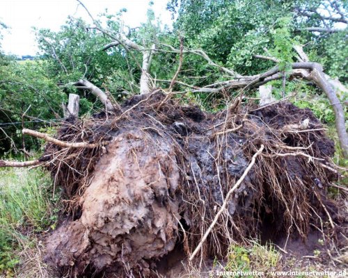  Internetwetter | Eine zweite Schneise an einem Knick ist am Ende der Tornadozugbahn zu finden.