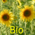 Biowetter